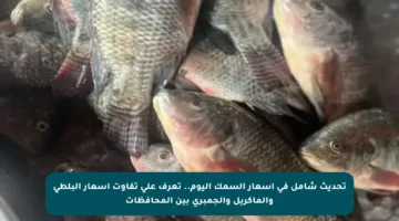 تحديث شامل في أسعار السمك اليوم.. تعرف على تفاوت أسعار البلطي والماكريل والجمبري بين المحافظات